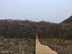 -白草畔自然风景区