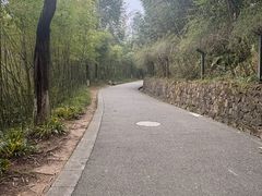 -都江堰中华大熊猫苑