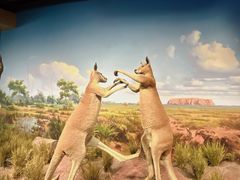 -陕西自然博物馆