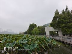 -月湖风景区