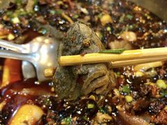 乌鸡-黑竹香鸡(营和巷店)