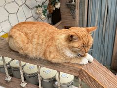 -Vanillacafe香草咖啡(银海大世界店)