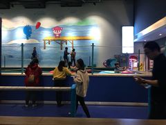 -蒙特利亲子乐园