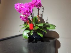 -长安记·大美陕菜(大族广场店)