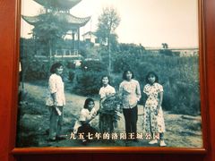 -老雒阳面馆·水席(定鼎门店)