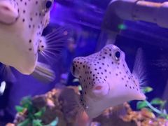 -太平洋海底世界