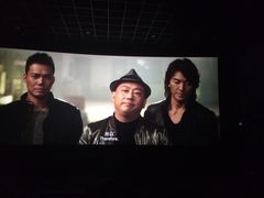 耀莱成龙国际影城(合肥店)-华联影城(蒙城路店)