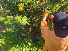 -前小桔亲子创意农场·草莓采摘·露营烧烤