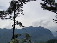 -洛阳白云山景区