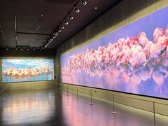 -罗红摄影艺术馆