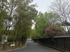 -同里国家湿地公园
