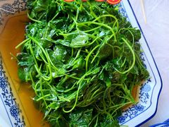 酒香草头-洞天食府(北大街店)