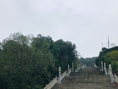 -铁山坪森林公园