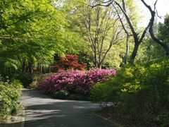-上海滨江森林公园