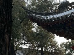 -洛阳白马寺