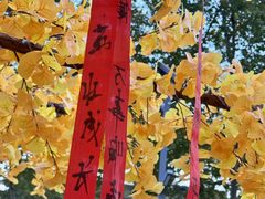 -金茂览秀城