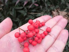 -西安电子科技大学（长安校区）-同学好(高校店)