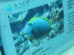 -苏州海洋馆