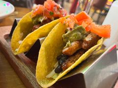 -Famous肥猫墨西哥音乐餐吧(五棵松华熙LIVE店)