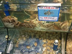 -范饭椰林川湘味海鲜·椰子鸡(三亚湾椰梦长廊店)