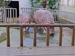 -宁波野生动物园