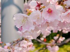 -静安雕塑公园