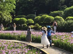 -龙头寺公园