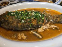 -老雒阳面馆·水席(定鼎门店)