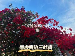 -四川大学(望江校区)