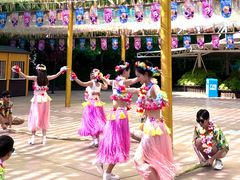 -郑州方特水上乐园