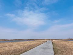 -宁波杭州湾国家湿地公园