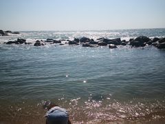 -广东惠东海龟国家级自然保护区