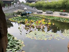 -关林