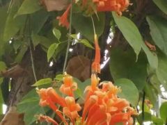 -南通洲际绿博园