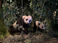 -天津自然博物馆