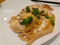 -金苑海鲜酒家(新港中路店)