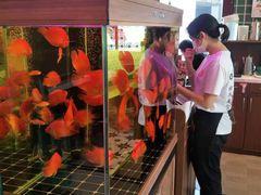 -龙记·香港茶餐厅(海上世界店)