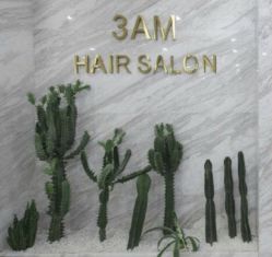 -3AM HAIR SALON染发烫发接发