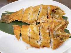 -茶港食堂(武昌店)