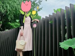 -陈家山荷花公园