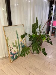 -杨丹国际美学肌研所