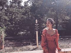 -普芬比利蒸汽火车