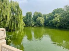 -济南大明湖景区