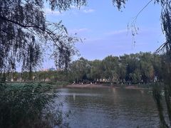 -咸阳湖景区