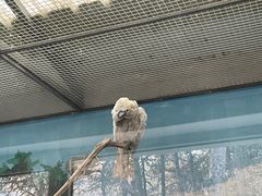 -沈阳森林动物园