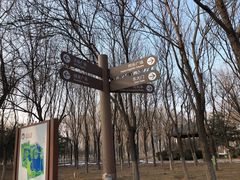 -大兴滨河森林公园