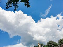 -西双版纳傣族园