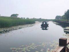 -太湖湖滨国家湿地公园-停车场
