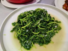 蒜蓉米苋-老人和饭店(淮海中路店)