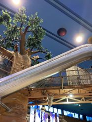 -卡通尼·Safari非洲探索乐园·生日会(金桥国际商业广场店)